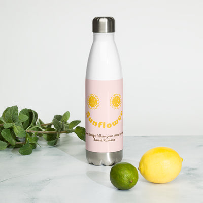 Stainless steel water bottle